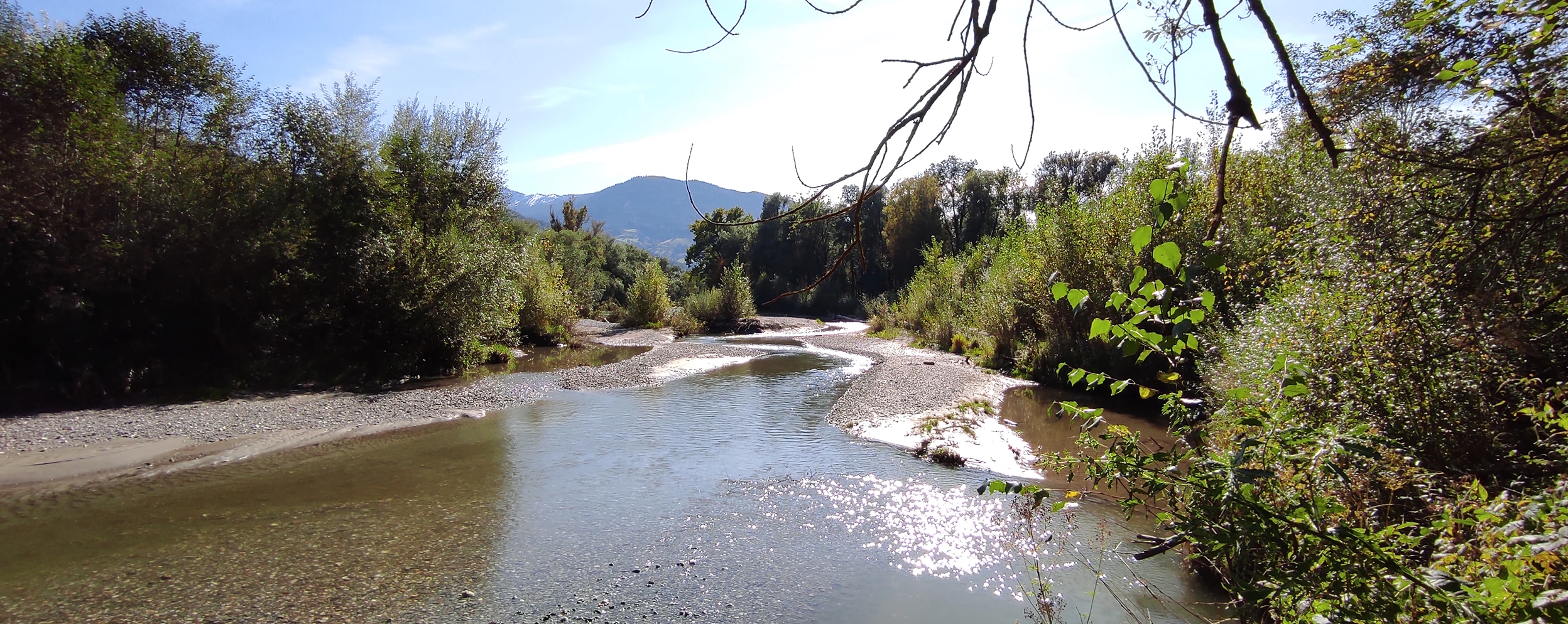 A serene river winds through a gravel bed, surrounded by lush greenery and mountains in the distance. Sunlight glimmers on the water's surface, with branches framing the top of the image.