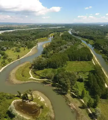 Ein Blick auf das abgeschlossene Life-Traisen-Projekt: Der renaturierte Fluss mäandert durch die grüne Natur.