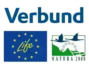 The Life Traisen project logo consists of the Verbund logo, the logo of the European Commission and the Natura 2000 logo.