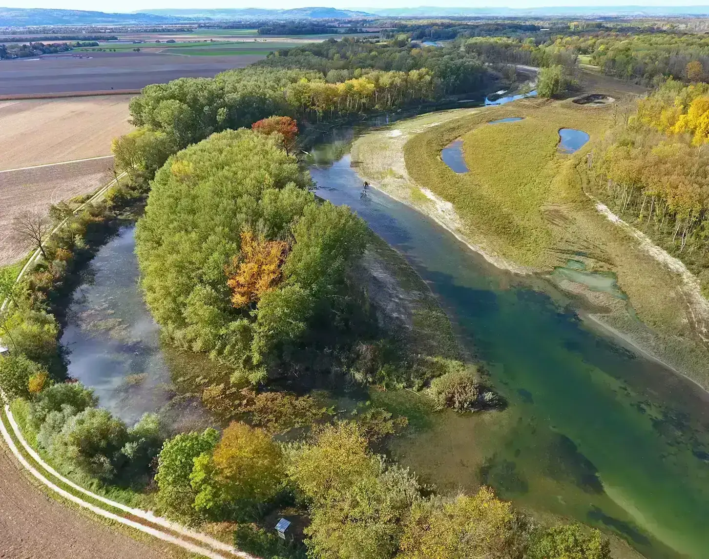 Ein Blick auf das abgeschlossene Life-Traisen-Projekt: Der renaturierte Fluss mäandert durch die grüne Natur.