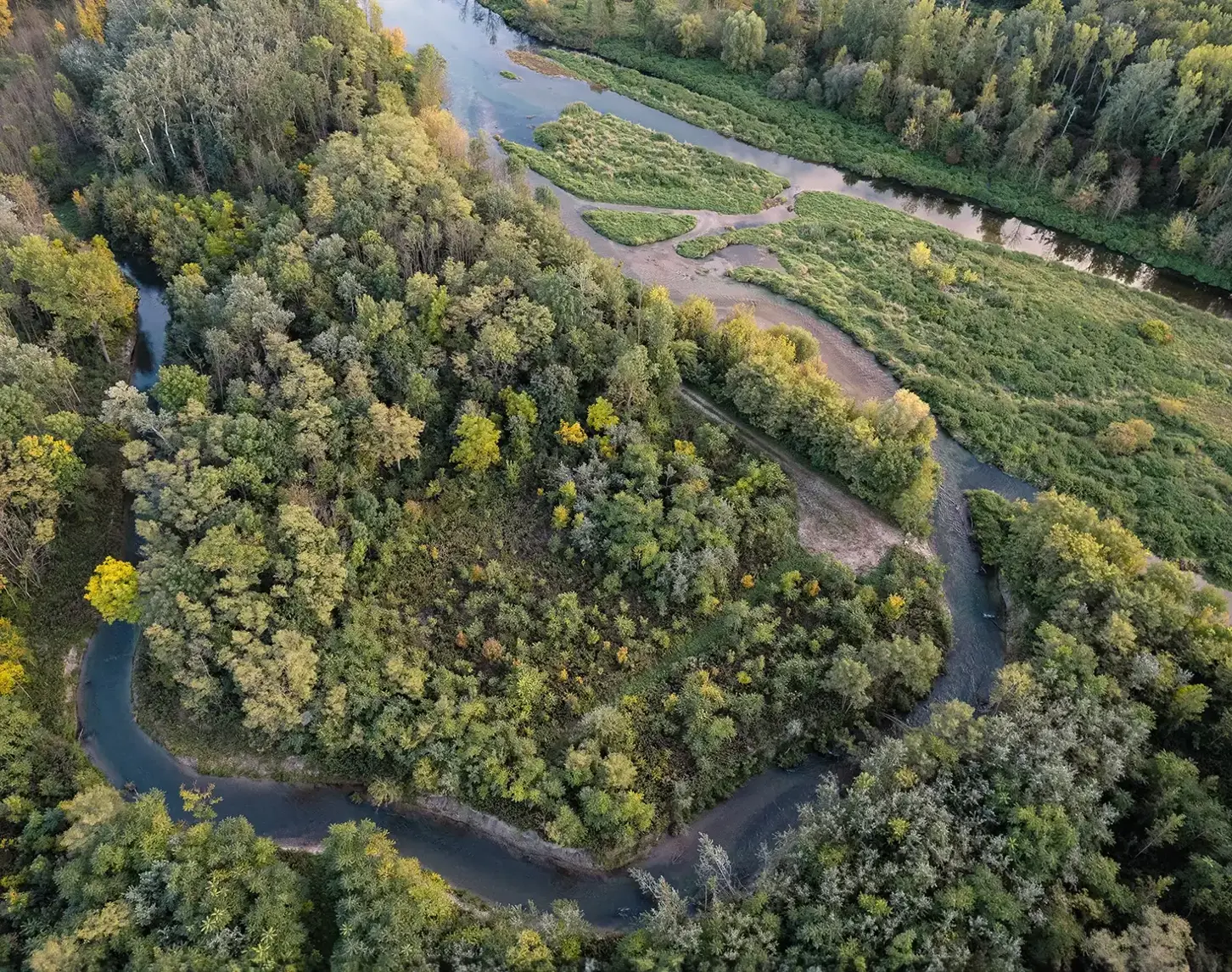 Between 2009 and 2019, a new floodplain landscape was created on the Traisen. The picture shows the renaturalized Traisen from above. You can see not only the river, but also an alluvial forest.