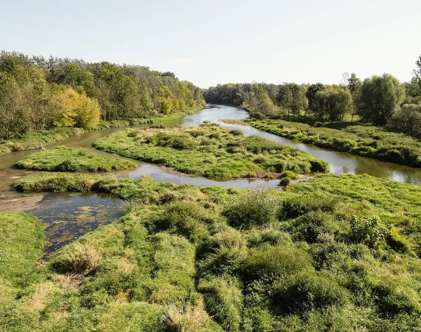 Projekt LIFE+ Traisen: Die Flusslandschaft mit Wiesen und Sträuchern wird sich nun ungestört auf natürliche Weise weiterentwickeln.